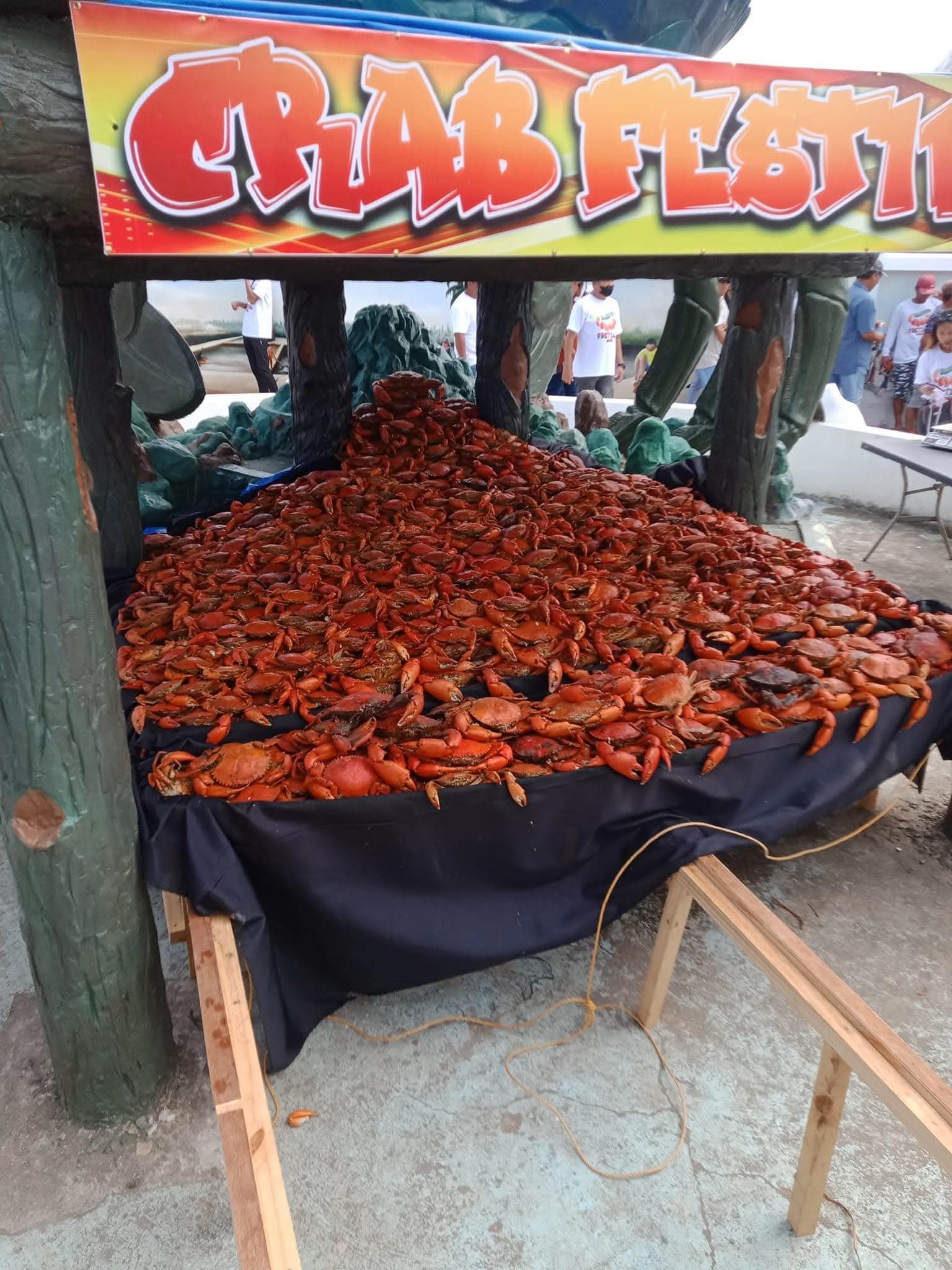 CRAB AND MANGROVE FESTIVAL